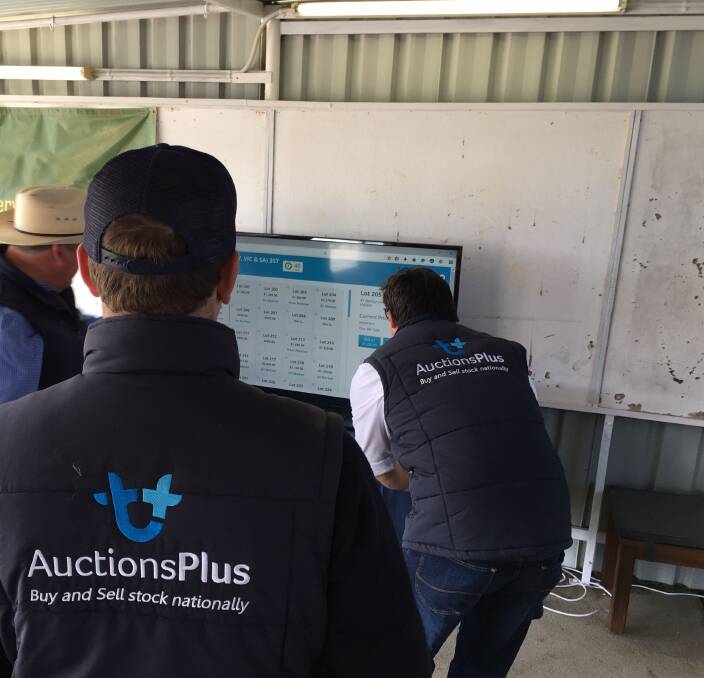 AuctionsPlus will offer its live online streaming platform for the Rockhampton Brangus Sale which is the first time in the sale's 40 year history the service has been used.