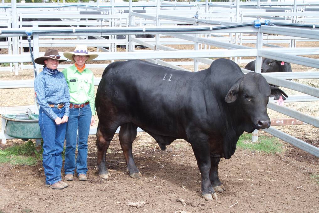 Epic purchase: The top price bull of the 2016 sale, Moola Epic (P), with buyer Jane Geddes, Charlevue Stud and vendor Sandra Ryan, Moola Stud.