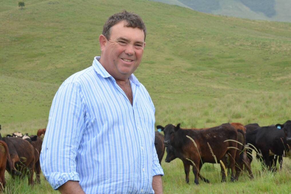 Top buy: After three years, grazier Cam Laurie is still using his original batch of EasyWean nose rings.