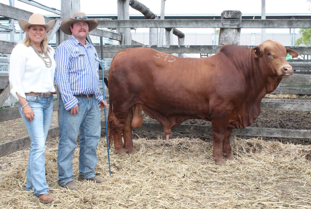 The $67,500 Medway Warrie with buyer Kylie Graham, Mungalla, and vendor Hamilton Donaldson, Medway.