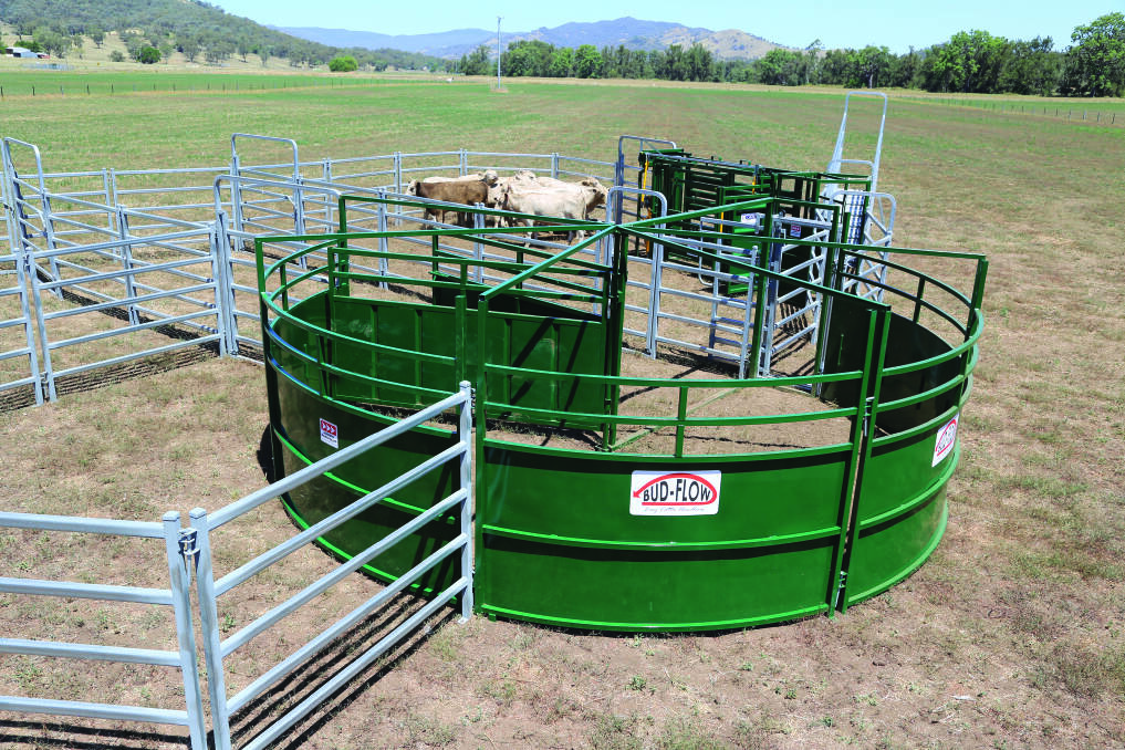 Innovative: The easy to use, low-stress Bud-Flow force tub designed by Arrow Farmquip will be showcased during the cattle handling demonstration day being held at the CRT Mount Ossa Rural store on February 27.