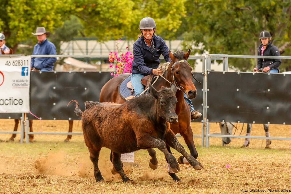 Vickie Hiscock, Maffra, Victoria, rode Steph to first place in the Grandmother Clock Ladies Draft at Chinchilla last year. Image courtesy of Sue Waldron Photos.
