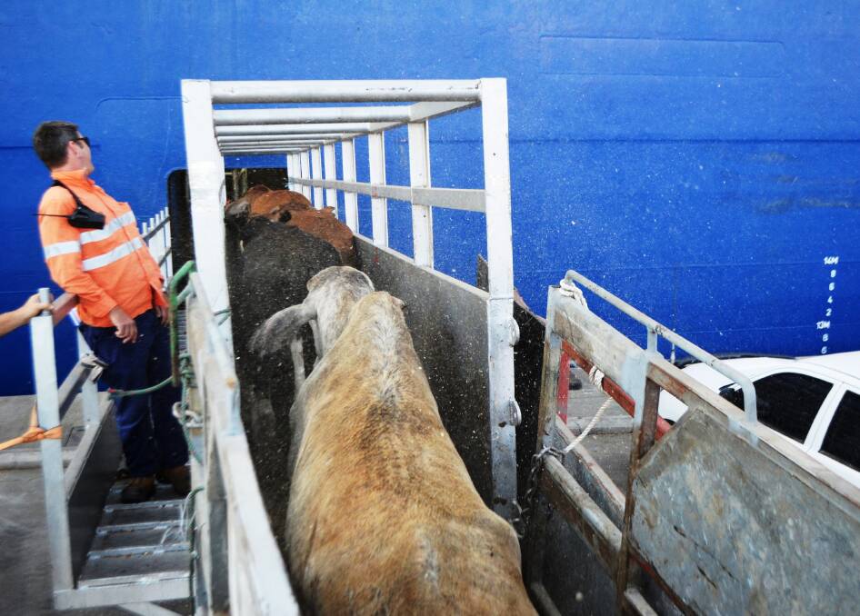 Saleyard exports: The function of approved PEQ saleyards is to prepare and background livestock for feeder, slaughter, breeding and dairy shipments.