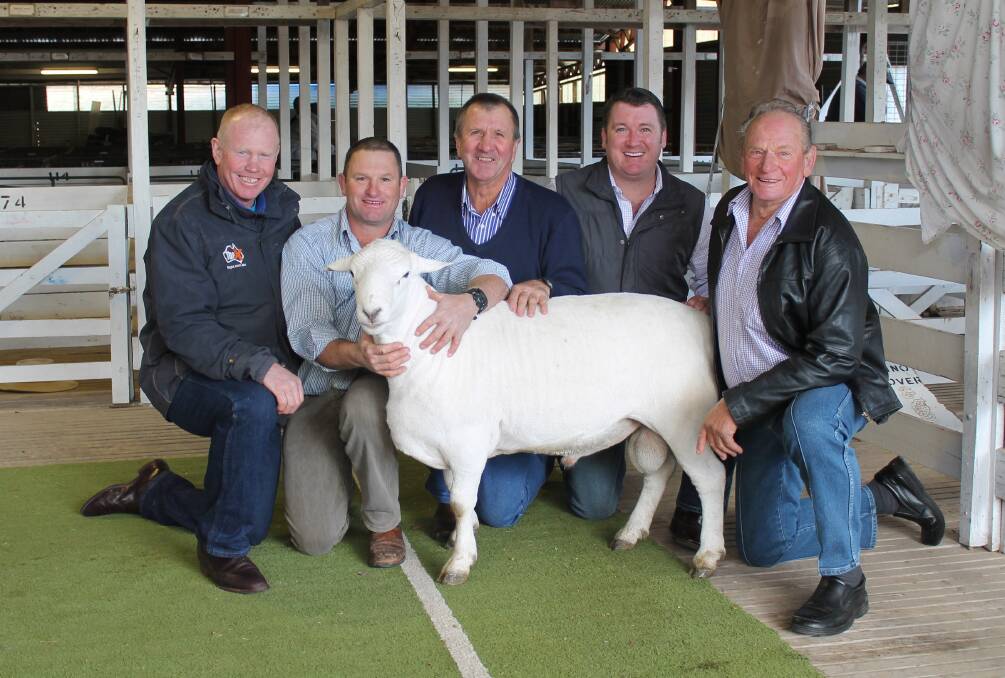 White gold: George McVeigh, TopX, Mark Davey, Springdale, Nowlan Stock and Station Agent's David Friend, Elite Livestock Auctions' Chris Norris and Murray Schroder, Keilah with one of the Australian White sale rams.