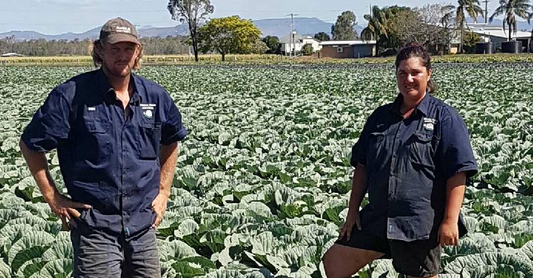 Smooth change: Ben and Kirsty Harm have taken over the family farm at Mt Sylvia through careful planning with Ben's parents and the team at Synergy Accountants.