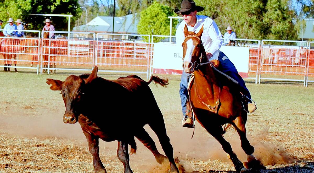 Spectators are encouraged to make their way to the Condamine Bell Campdraft to watch the best riders in Australia launch their bid for the prestigious Triple Crown. Riders are encouraged to get in quickly and nominate.