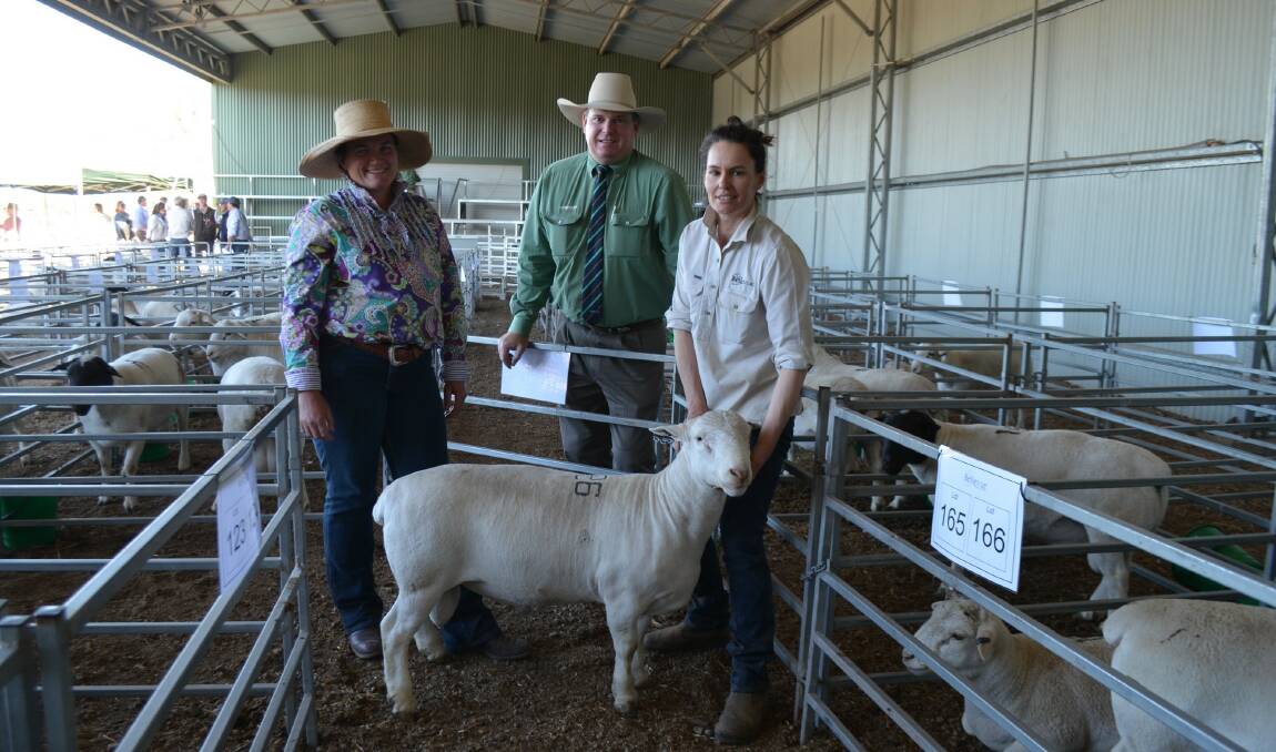 Lisa Shannon, Boondooma, Mark Scholes, Landmark, and Sophie Madge, Bellevue Dorpers, Millmerran, with the $4000 top priced ram Lot 126 Bellevue 160430.