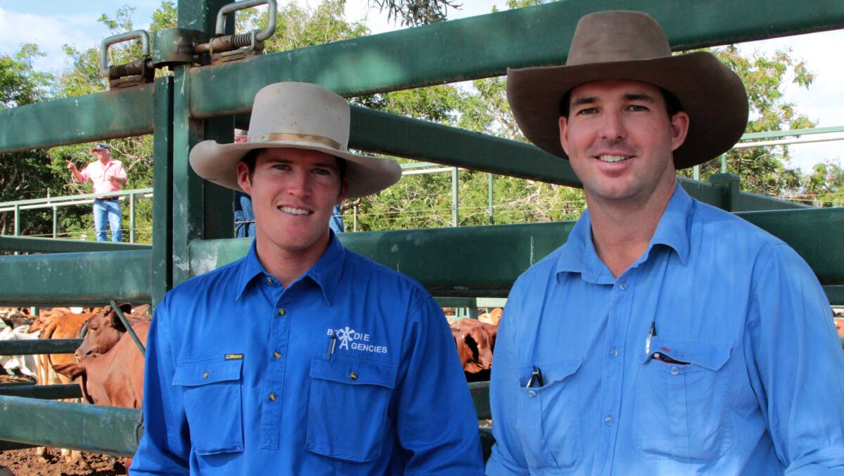 Blackall sale: Jack Brodie and Scott Holcombe were down from Winton with a shopping list at the Blackall cattle sale this week. Picture: Sally Cripps.