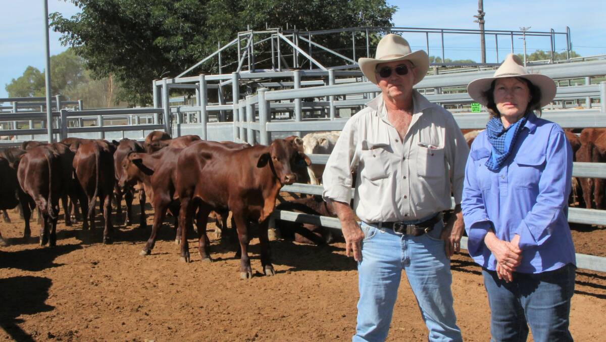 John and Jo Milne, Loongana, Longreach and their pen of Santa Gertrudis weaner steers that sold for 360 cents/kg at Blackall last Thursday.