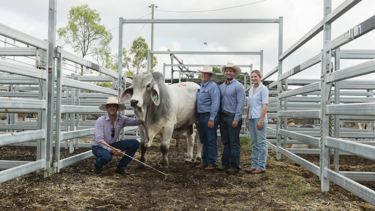 GREAT SCOTT: $115,000 bull Carinya Hazelwood, with vendor Mitch Kirk, Carinya, Gayndah, and purchasers Owen Scott, son Clay Scott, and daughter Emma Sewell, Ruan Grazing, Clermont.