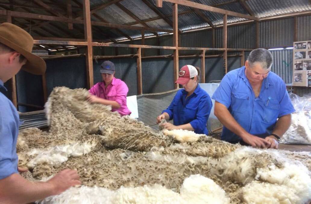 Casting their eye: Kiri Broad and Greg Hunt were among those helping skirt fleeces at the Longreach Show wether trial shearing. Photo supplied by Kiri Broad.