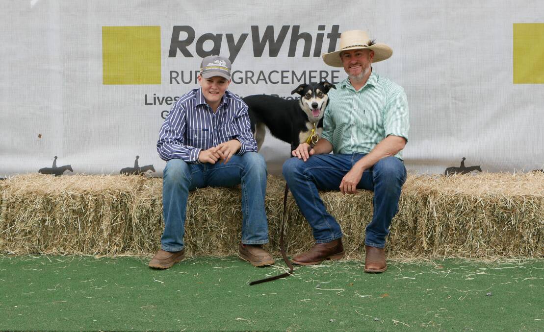 Amos and Joe Leven, Casino, NSW with Cabra Glebe Liz, who sold for a new Australian record. Picture: Ellouise Bailey