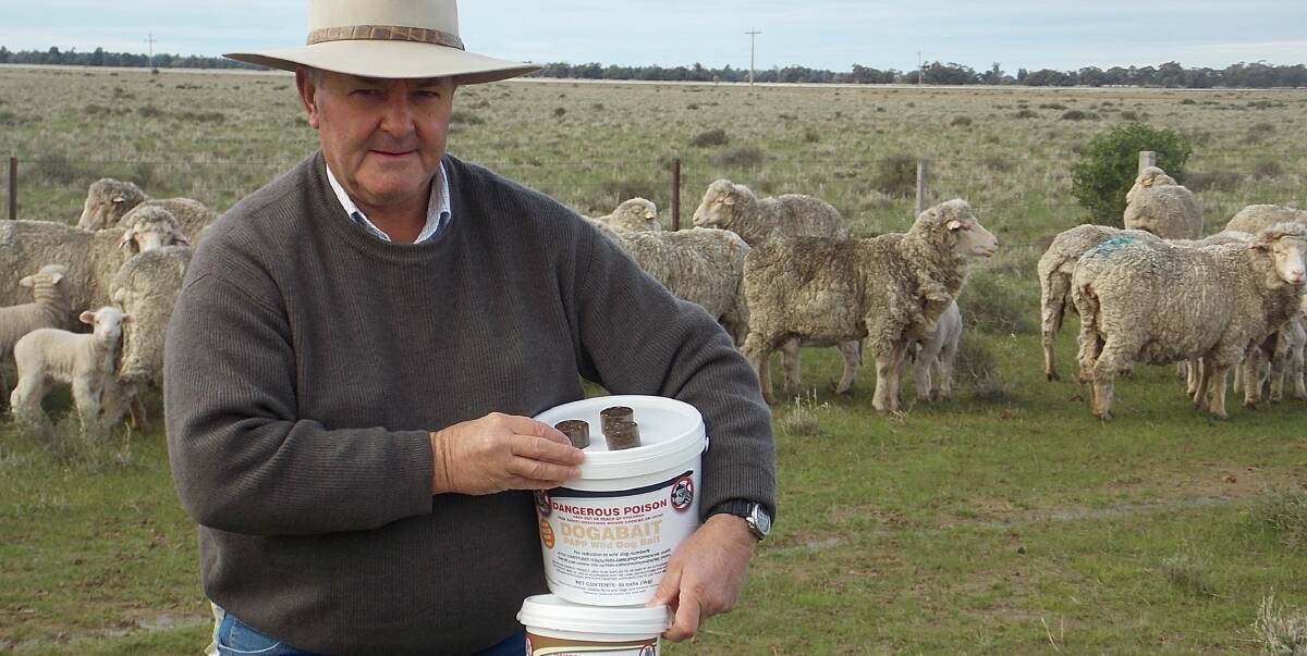 Just released: Australian Wool Innovation on farm manager, Ian Evans, with the new wild dog and fox baits that contain the new PAPP toxin.