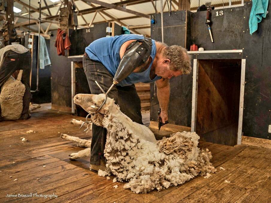 To get back on the shearing board, Dave Wyllie had to learn to use a handpiece with his left hand. Picture: James Braszell Photography