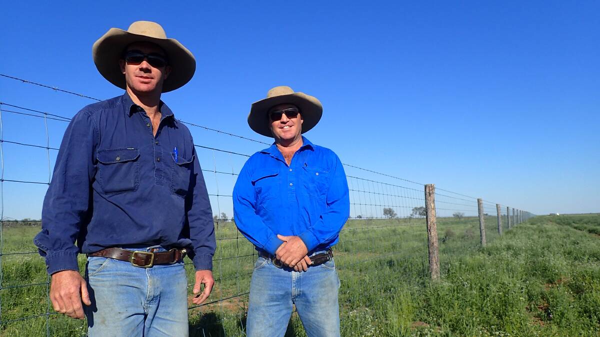 Tom and Ben Chandler, two of the members of the winning Landcare group at Barcaldine.