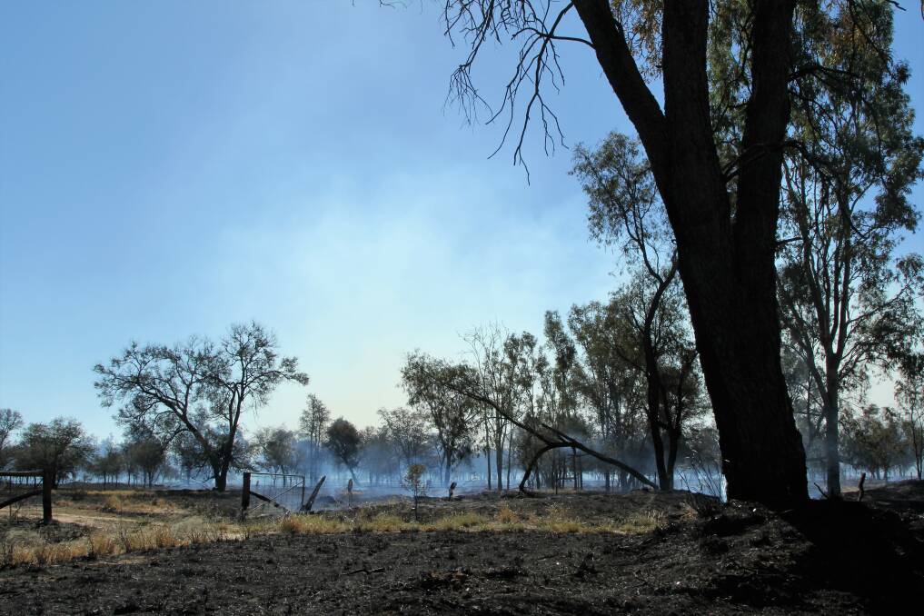 One of the fires caused by sparks burnt through a reserve containing cattle on emergency drought agistment.