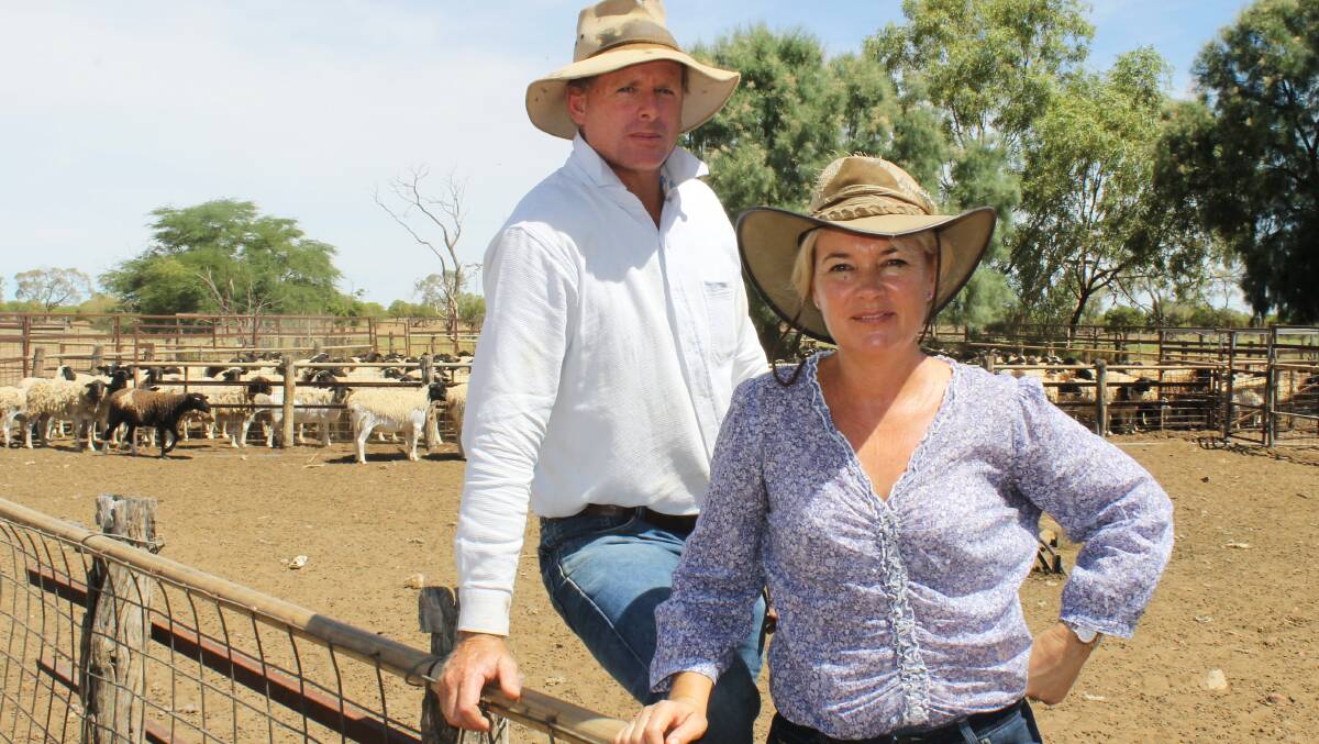 Longreach leaders: From their origins with their Dohne flock at Longreach, Andrew and Maree King are now turning heads around Australia as they expand into a new lamb food marketing venture. Picture: Sally Cripps.