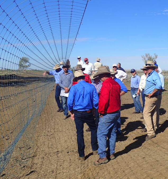 Community interest in ongoing funding for cluster fencing in southern and central western Queensland has ramped up in the last few weeks, in anticipation of an announcement from the state government.