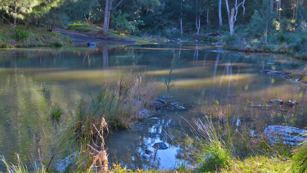 Condamine-Balonne water buyback relief