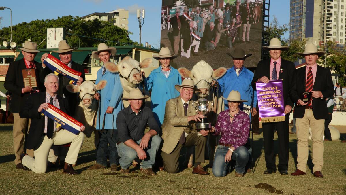 Interbreed pair: Celebrating the win were, back: Elders stud stock manager Blake Munro, Santos representative John Warby, West Moreton Anglican College students Lachlan Young and Elsie-Mai Wright holding the winning cow Crathes Estella 33 and her calf, Glen Waldron, Elite Charolais, holding the winning bull, judge Tom Baker, and Elders Andrew Meara; and, front: Santos Qld head Rob Simpson, bull co-owner Ivan Price, Moongool, Alan Warby with the Warby trophy, and Kim Groner.