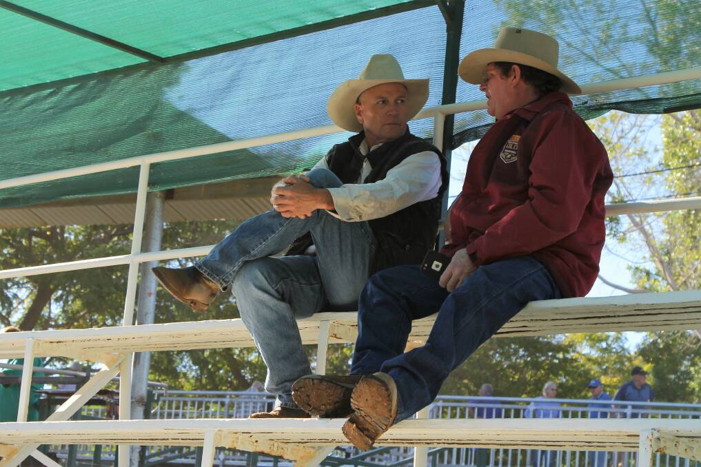 Snapped up: James Pearson, Terrick Terrick, Blackall, the buyer of four pens of organically certified cattle at the sale, waits with vendor Rick Britton for liveweight prices to be displayed. Picture: Sally Cripps.