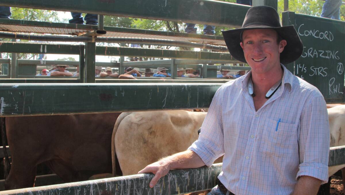 Meet the market: Will Comiskey watched his cattle sell at the Blackall yards on Thursday. Picture: Sally Cripps.
