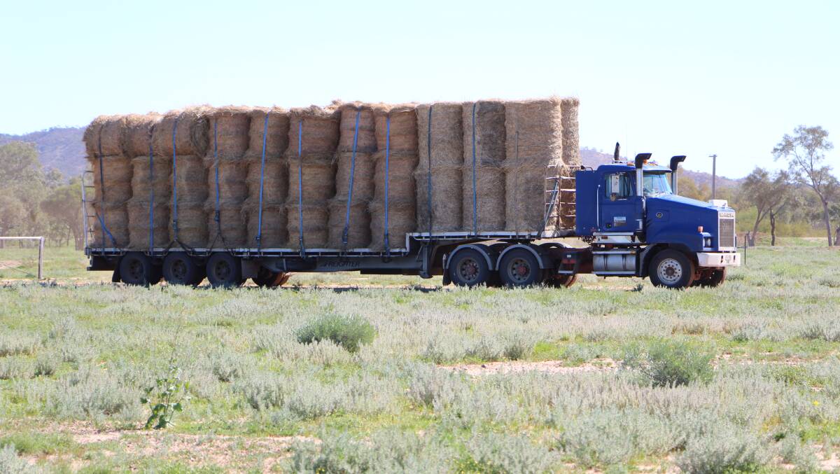 Jarrod Pershouse, whose truck is pictured amidst a paddock of galvanised burr, did the majority of the organising for the Yaraka hay run.