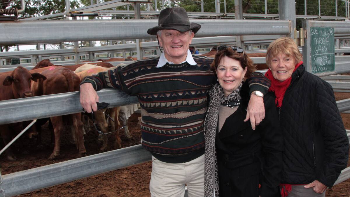 Restocking the run: Bill Glasson, his sister Sharon Glasson and Kingaroy visitor Cherie Brazier at the Blackall sale on Thursday, where Bill set a yard record when he paid 401.2 cents per kilogram for light store steers. Picture: Sally Cripps.