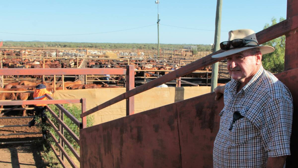 Dave McWaters, Regleigh, Quilpie was on hand to watch his bullocks being loaded for Oakey.