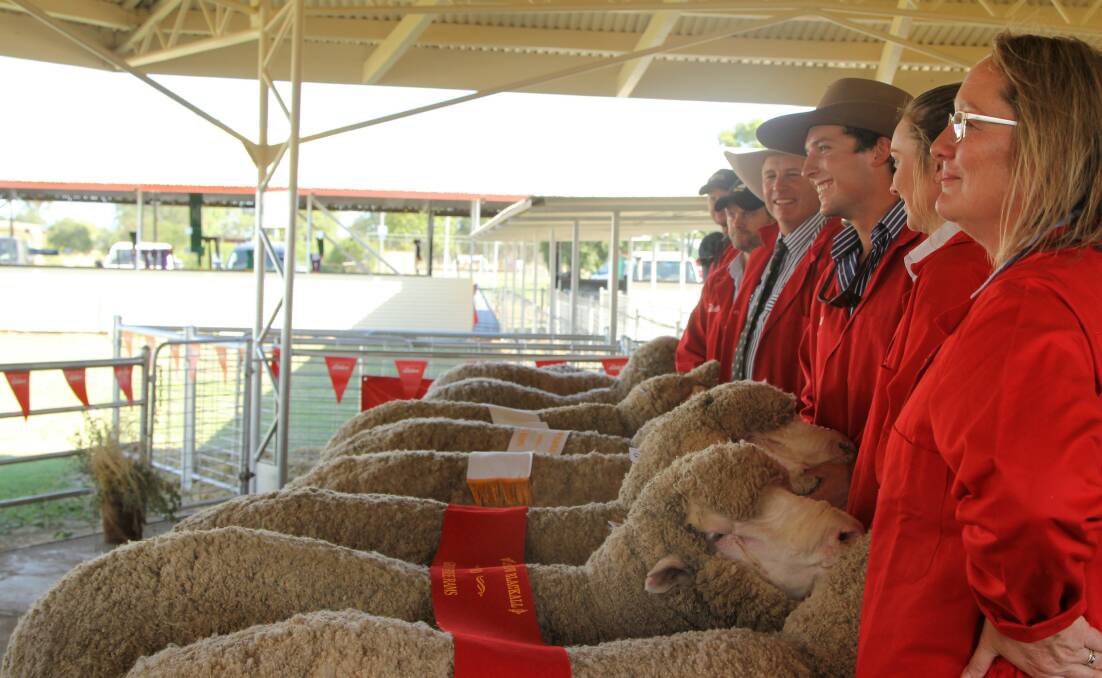 Nigel, Charlie, Felicity and Rosemary Brumpton lined up holding sheep in the ring at Blackall.