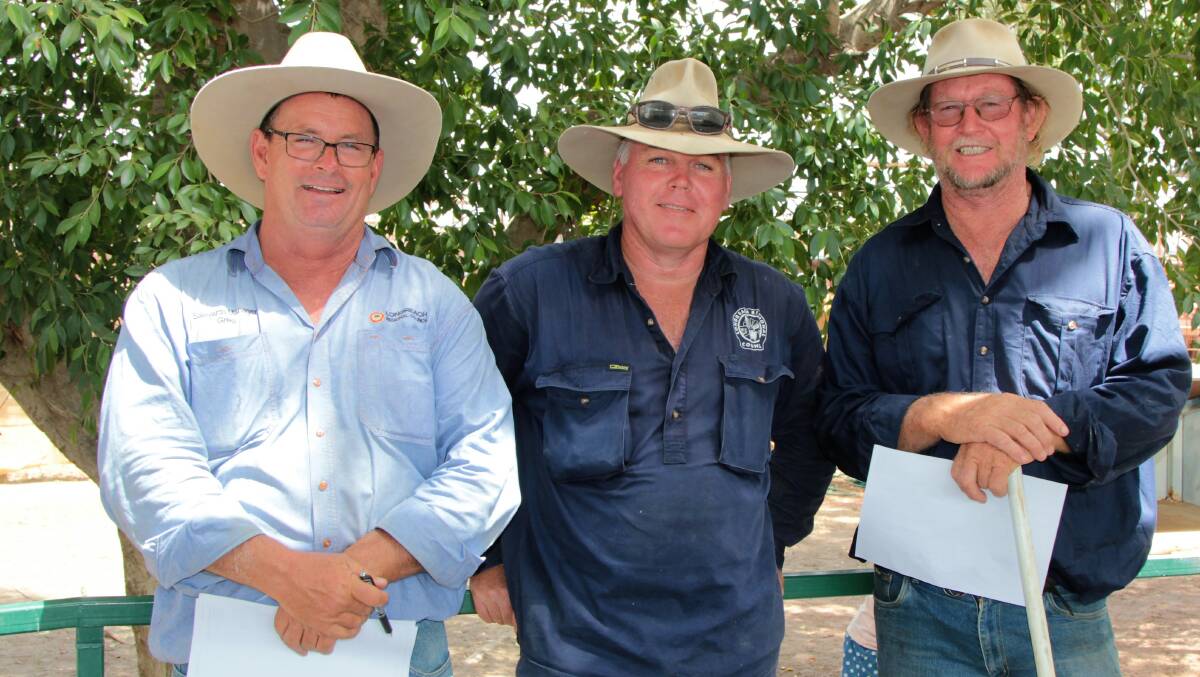 Longreach saleyards manager Greg Paterson, along with staff Bill Sitters and Sam Coxon, were happy to see saleyards pens utilised last week, when a bull sale took place.