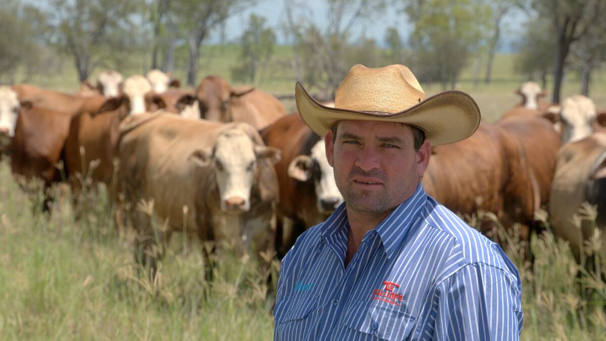 Calliope cattle producer, Will Wilson.