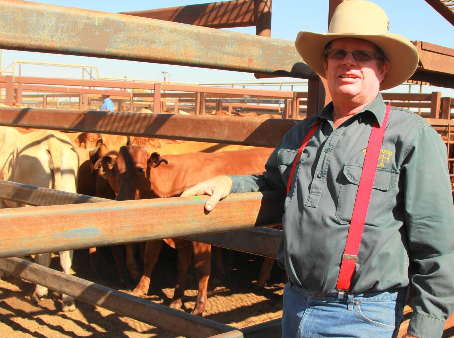 Boulia mayor Rick Britton, pictured selling cattle in Longreach in 2013, is supportive of the sheep-oriented aims of the cluster fencing program and says it hasn't been compromised.