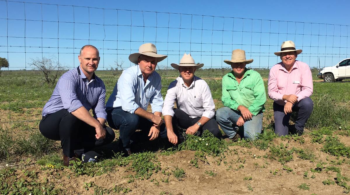 Boyd Webb, second right, together with the Member for Gregory, Lachlan Millar, showed members of the Parliamentary Agriculture and Environment committee his exclusion fence at Weewondilla, north of Longreach.
