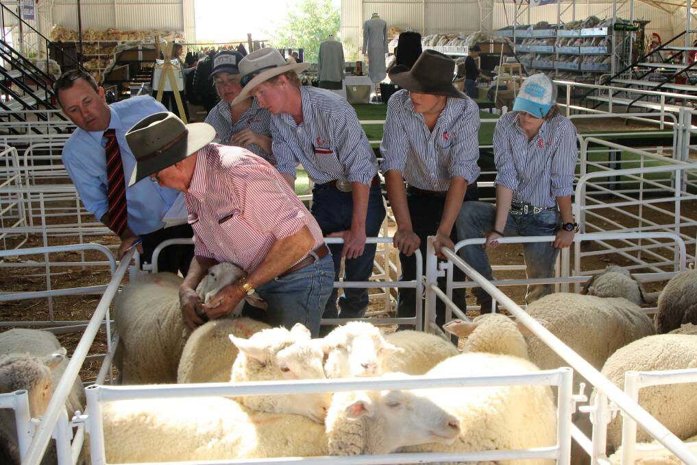 Flock ewe stewards, Dominic Burden and Peter Clark, cataloguing pens with the help of students from the Longreach Pastoral College.