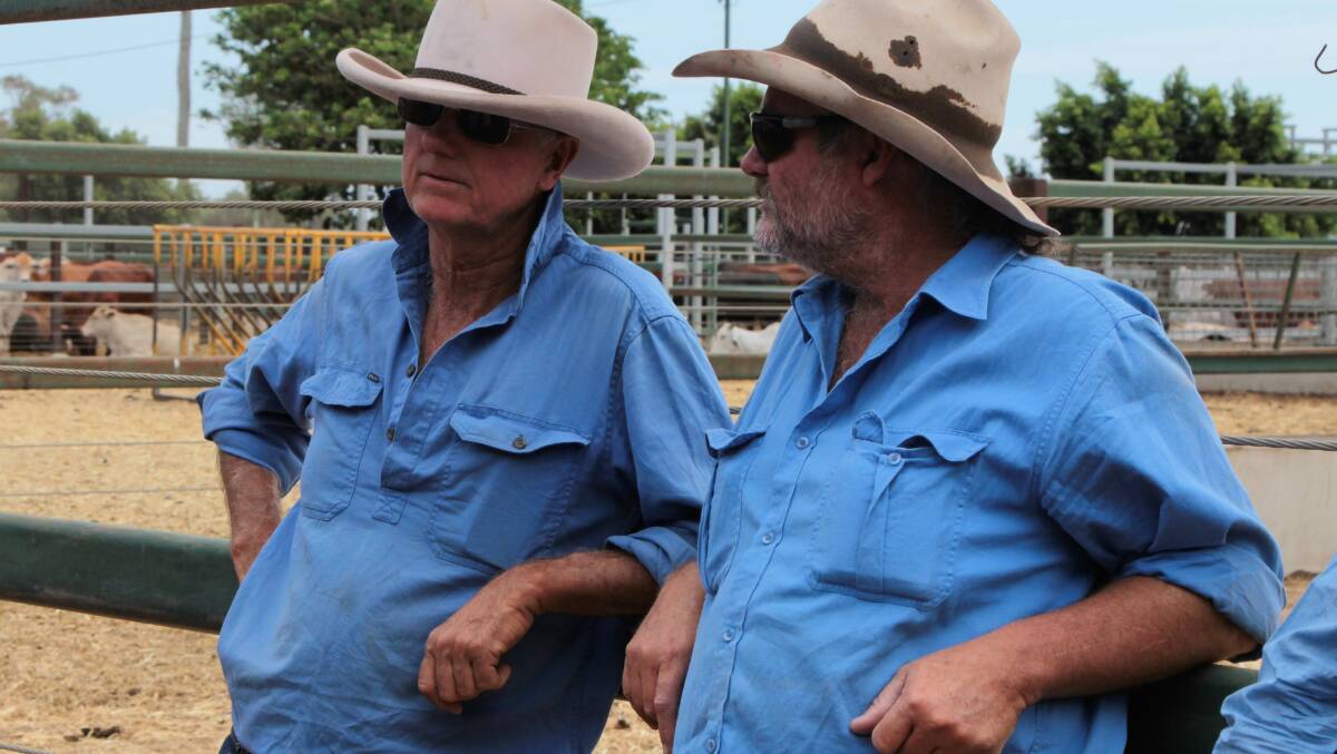 Tim Joseland, Eltham, Isisford with Chinchilla's Alex Stringer, checking out the market at the Blackall sale on Thursday.