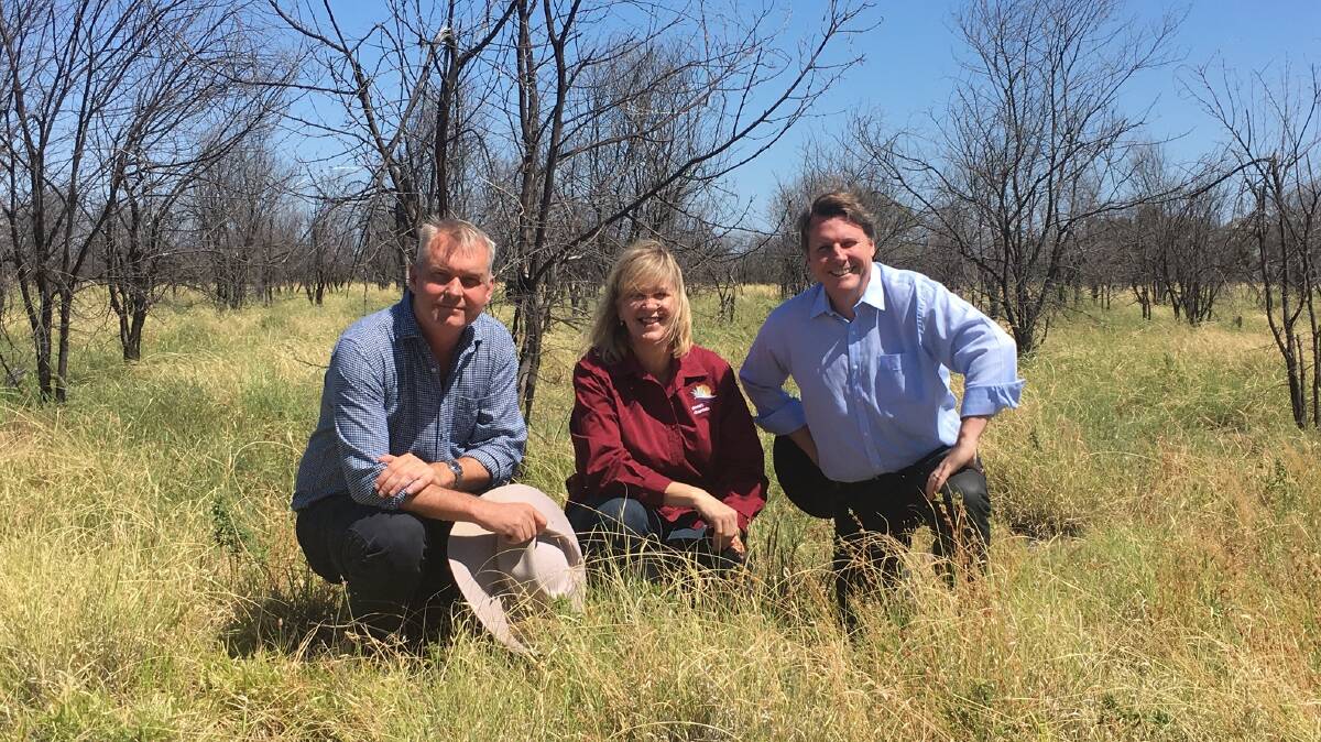 Under control: Gregory MP Lachlan Millar inspecting successful prickly acacia control near Aramac with DCQ CEO Leanne Kohler and Queensland shadow Environment minister, Christian Rowan. Photo: contributed.