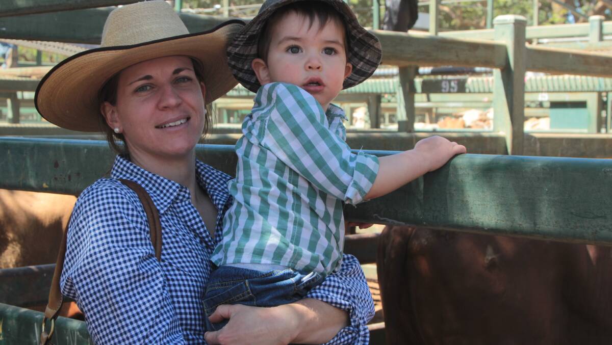 Steph Burgess, the wife of GDL Blackall manager Jack Burgess, gives their son Bailey a leg up so he can practice his own selling spiel at the Blackall sale.