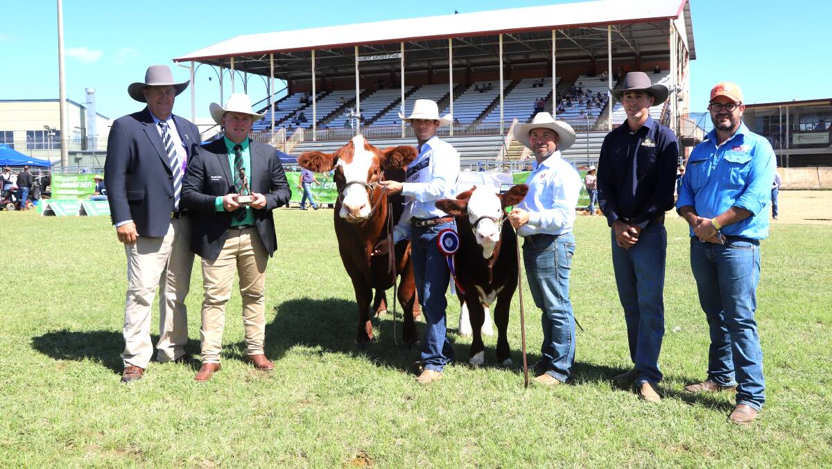Judge Andrew Olive, Nutrien studstock representative Colby Ede, Brayden Hooper and Marty Rowlands with grand champion Simmental cow KBV Romy and calf, plus sponsor Jack Dumma, Middlemount, and Stephen Lean, KBV. Picture: Sally Gall