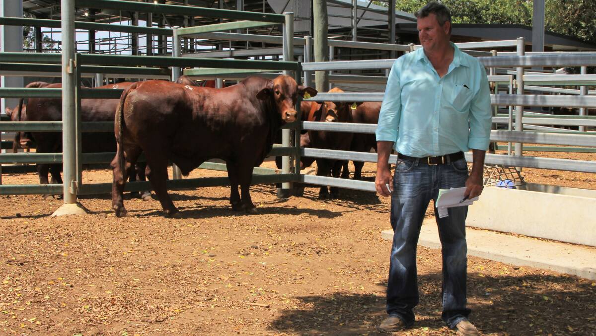 Craig Atkinson, Cardona, Blackwater, was the purchaser of Drensmaine Frost (P) for $26,000. Pictures - Sally Cripps.