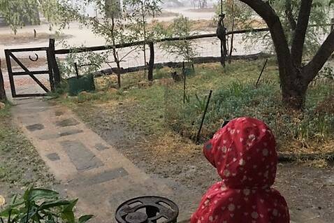 Two-year-old Grace Francis watches the rain come down at Tocal, west of Longreach, dressed ready for action in her rain coat. Photo - Sophie Francis.