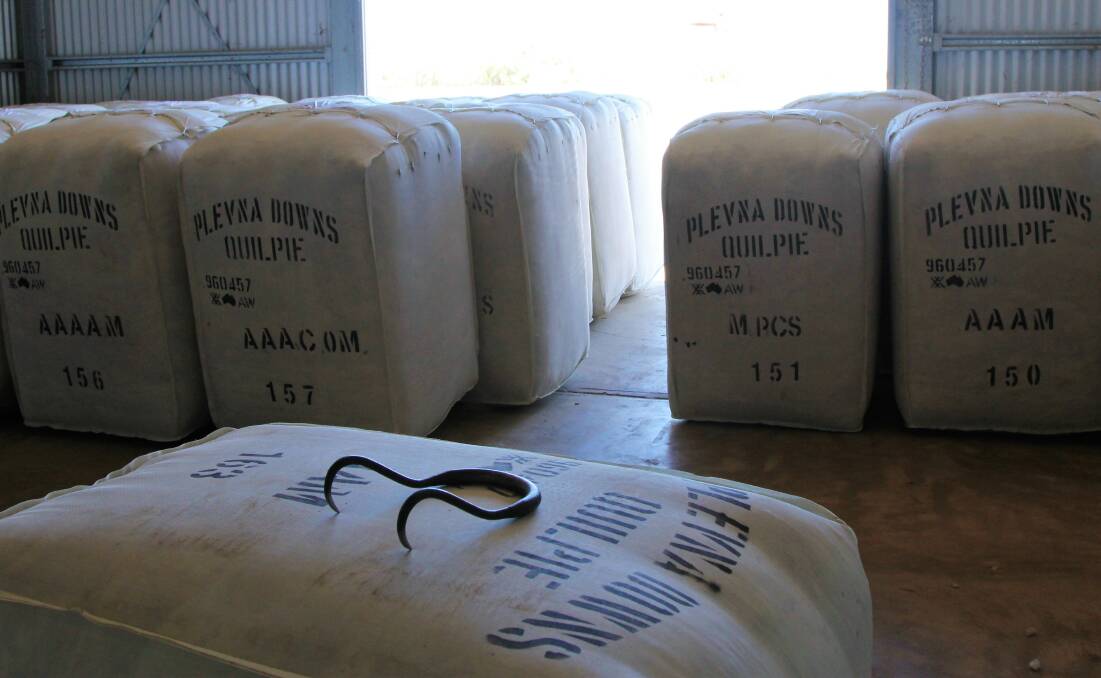 Some of the Plevna Downs wool clip ready for market.