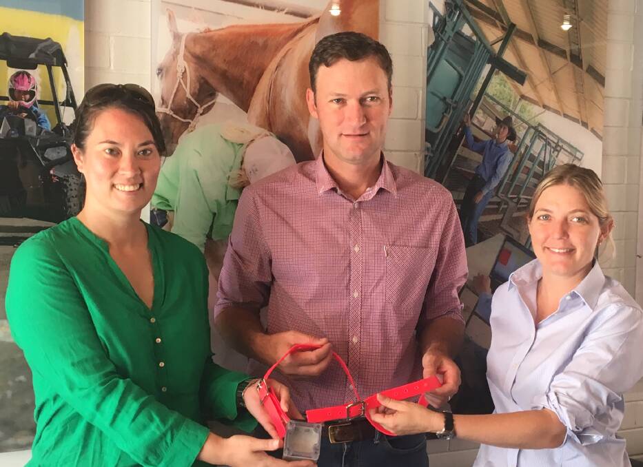 GPS Cows project Coordinator Dr Amy Crosby, with Andrew Lewis and Stephanie Banditt from Queensland Agricultural Training Colleges, checking out the GPS collars that are being used to assist cattle research, but also by the Access Ag students at Emerald Agricultural College to help develop student digital literacy.