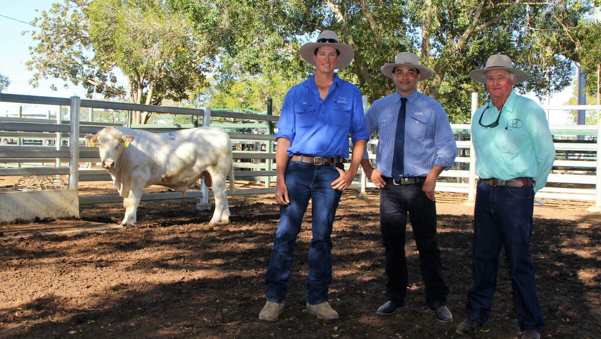 Ben Simpson, Thistlebank Grazing, Aramac, purchaser of the top priced Acton Charbray bull, with Jack Burgess, GDL Blackall, and Pat Bredhauer.