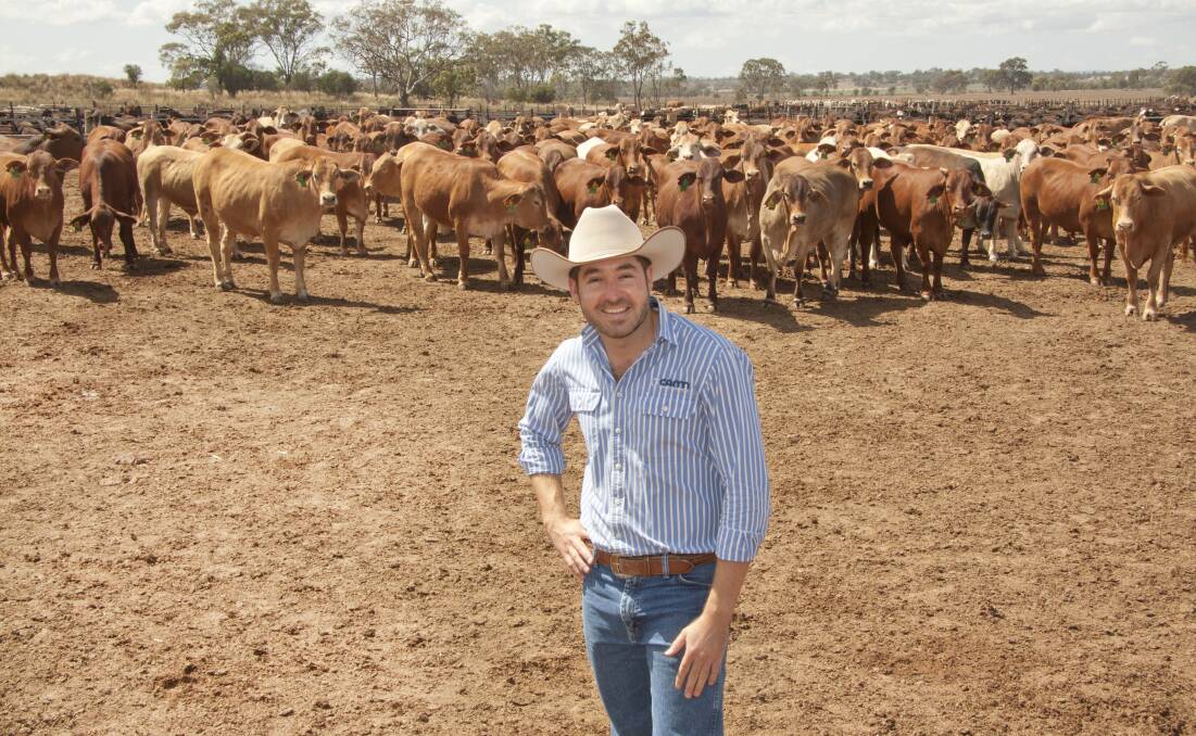 Bryce Camm, Camm Agricultural Group, Wonga Plains feedlot, Bowenville.