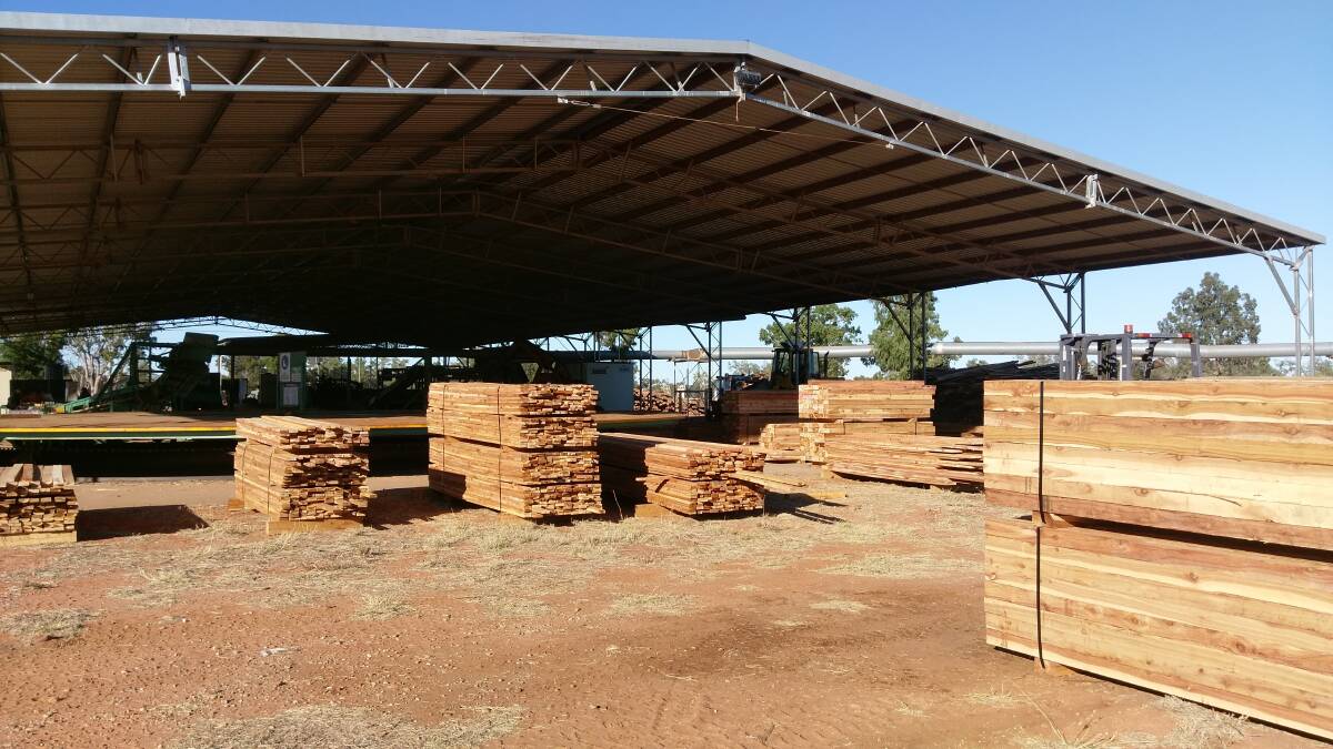 Flat chat: The re-opened Tambo sawmill is processing more than a roadtrain of cypress pine for Victorian markets a day. Picture: Alison Shaw.