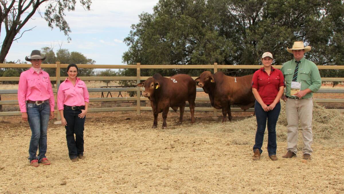 Top two: Lucy McGuire and Jessi Flynn, Valera Vale, with Stephanie Laycock, High Country Droughtmasters, Trent McKinlay, Landmark, and the two bulls purchased by the Laycocks for $9000 and $14,000 respectively. Picture: Sally Cripps.