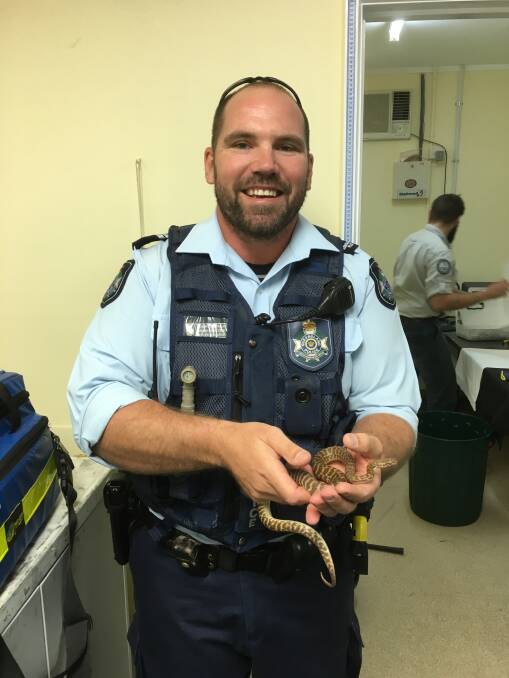 Isisford's Christian Donaldson displaying one of the snakes seized from a car in Blackall.