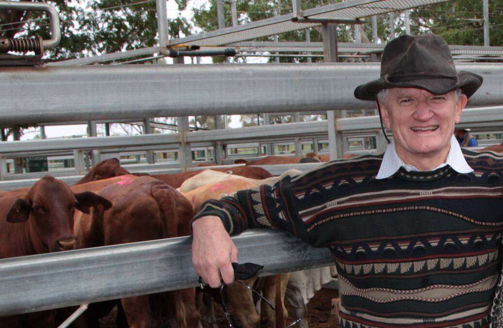 Leading eye surgeon Bill Glasson watching his cattle being sold in the saleyards at Blackall. He says exorbitant airfares are discouraging investment and service.