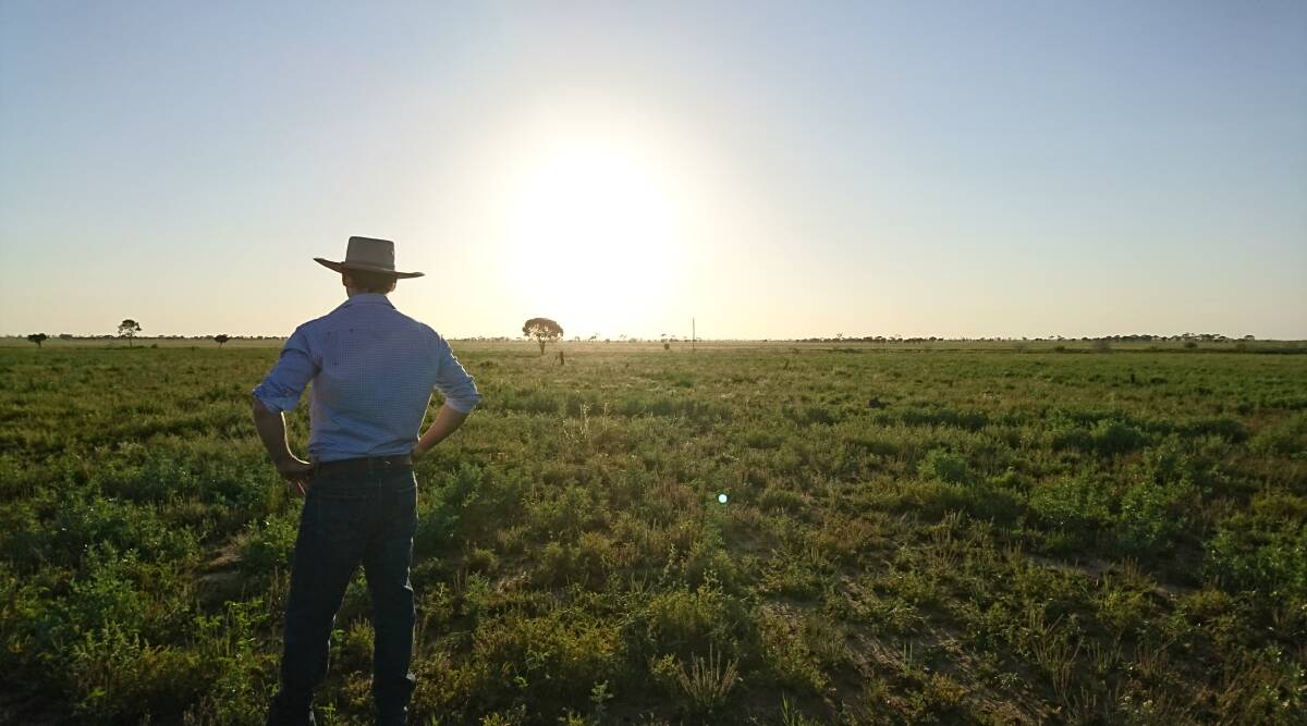 Greet the sun: Thanks to the vision of Longreach grazier James Walker, a pebbly rise 10km east of Longreach that struggles to grow good grass will be home to the 50,000-panel Canadian Solar project. It's one of six Queensland projects successful in securing funding in the latest round of government support. Picture: Sally Cripps.